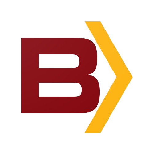 BSW Logo